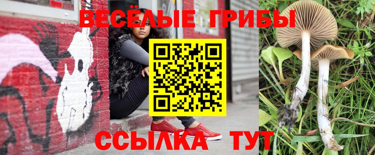 Псилоцибиновые грибы Magic Shrooms  Вход с VPN  Гагарин 